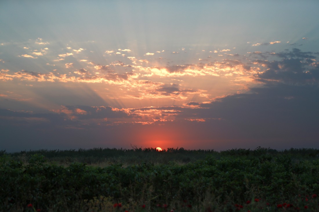 Dawn in the Ferghana Valley