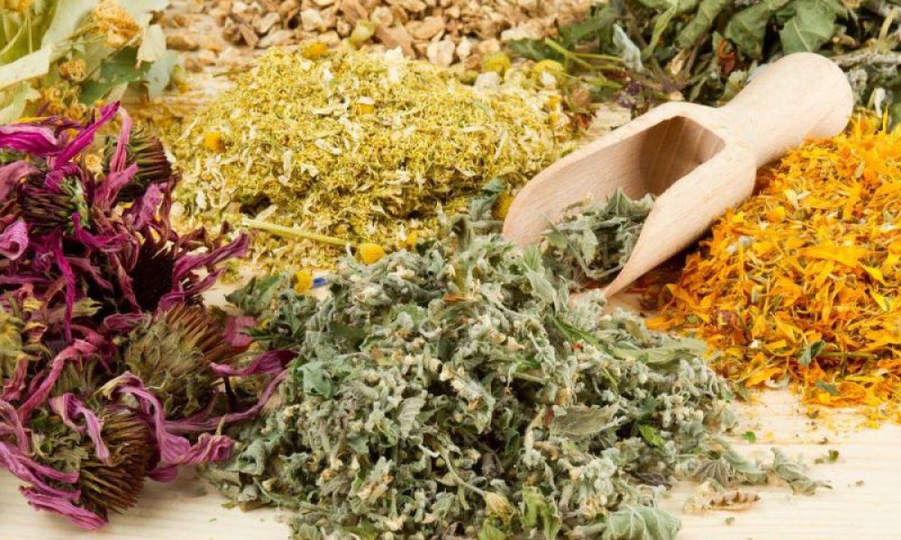  healthy herbs