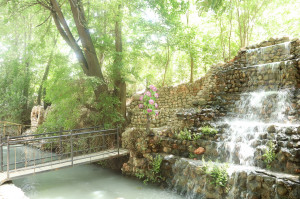 CHODAK TABIATINING SEHRI